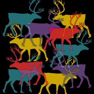 - NYHET: Disktrasor med motiv